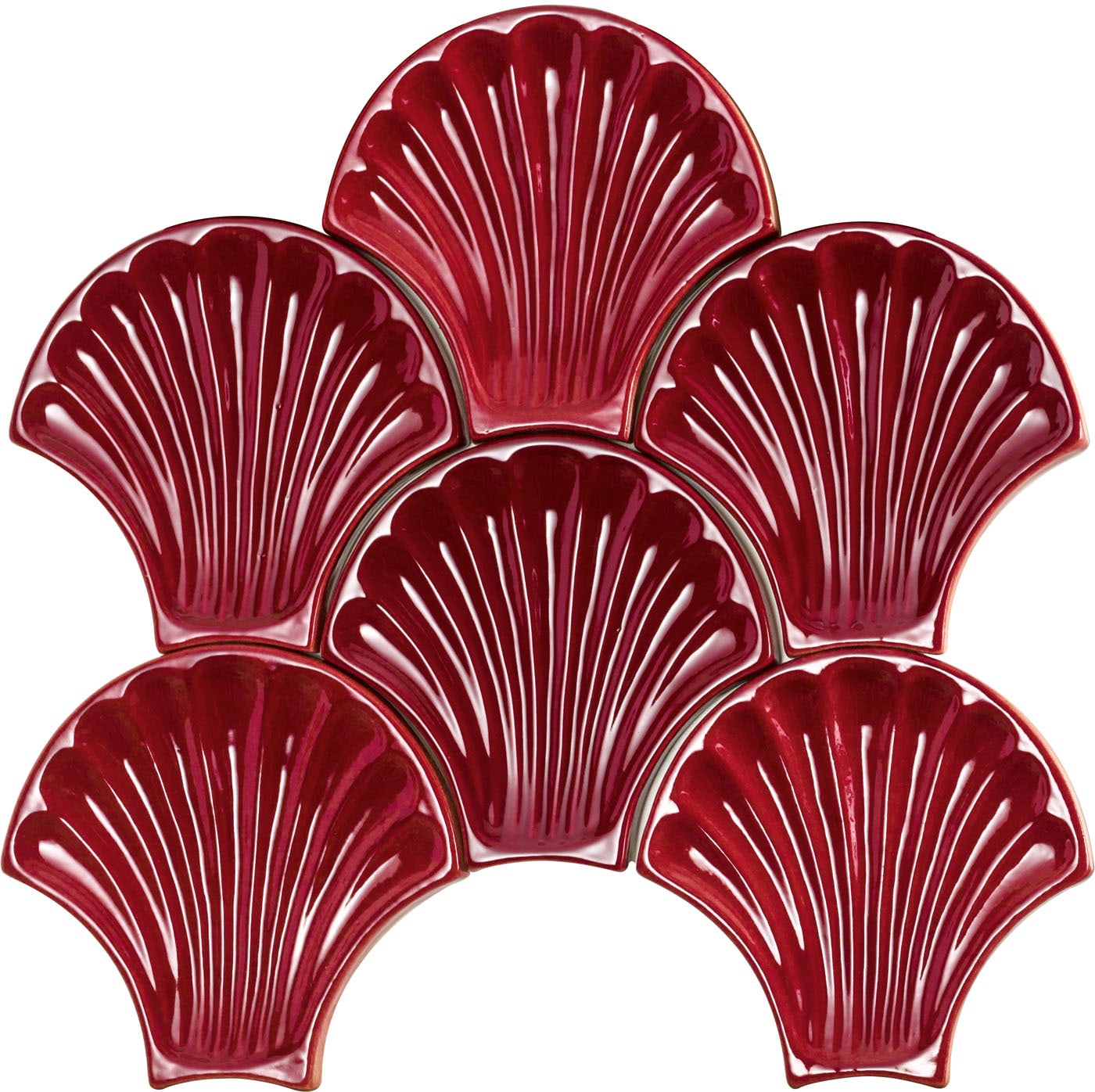 Artigiana Conchiglie porpora