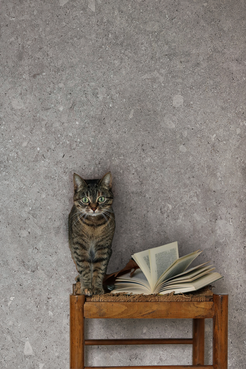 Vicentina Cenere 60x120 - Flisheller