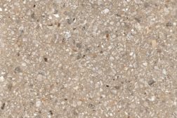 Match Up Ceppo Cookie 60×60
