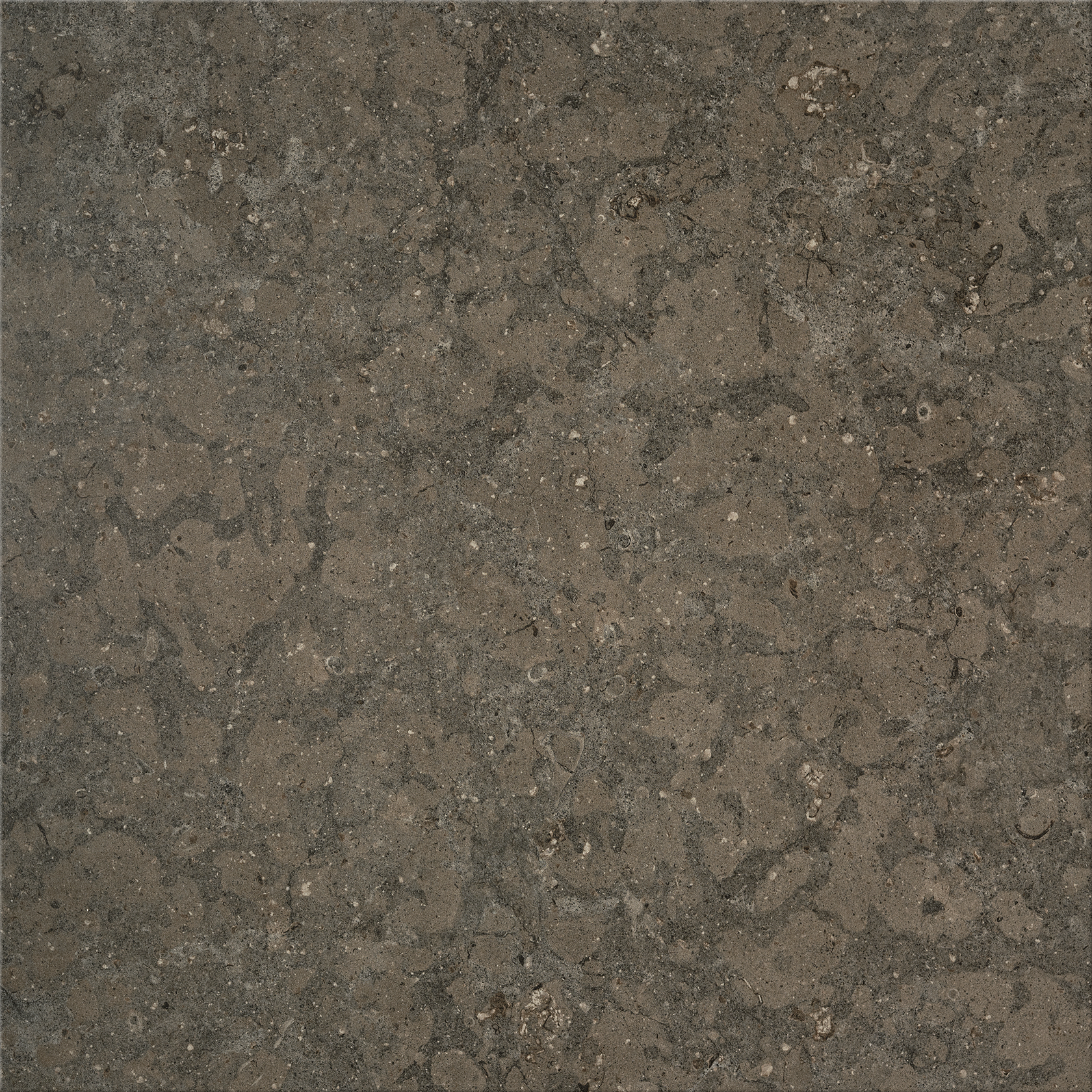 38301_J66_AZUL_OLIVE